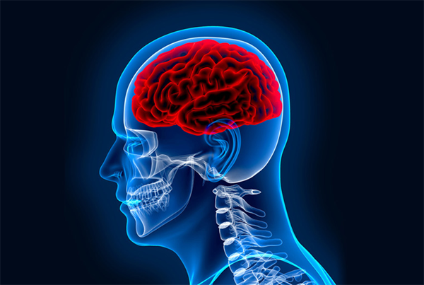 Neurology